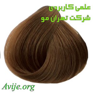 علمی کاربردی شرکت تهران مو