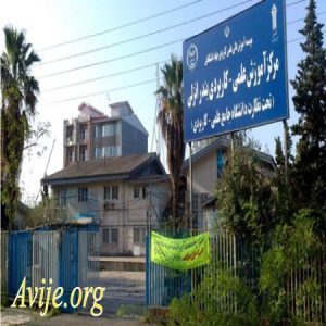 علمی کاربردی جهاد دانشگاهی بندرانزلی