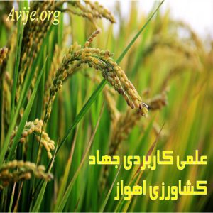 علمی کاربردی جهاد کشاورزی خوزستان (اهواز)