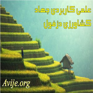 علمی کاربردی جهاد کشاورزی خوزستان (دزفول)