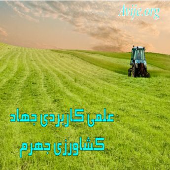 علمی کاربردی جهاد کشاورزی فارس (جهرم)