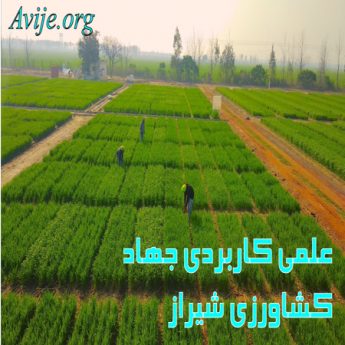 علمی کاربردی جهاد کشاورزی فارس (شیراز)