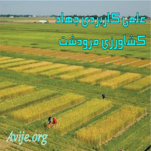 علمی کاربردی جهاد کشاورزی فارس (مرودشت)