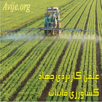 علمی کاربردی جهاد کشاورزی قائنات