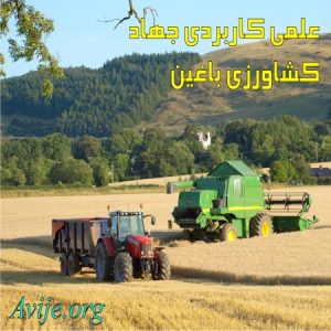 علمی کاربردی جهاد کشاورزی کرمان (باغین)