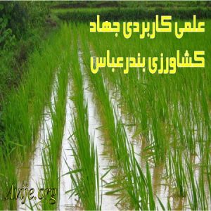 علمی کاربردی جهاد كشاورزی هرمزگان (بندرعباس)