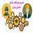 امریه شرکت های دانش بنیان چه شرایطی دارد؟