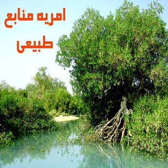 چگونه امریه منابع طبیعی بگیریم؟