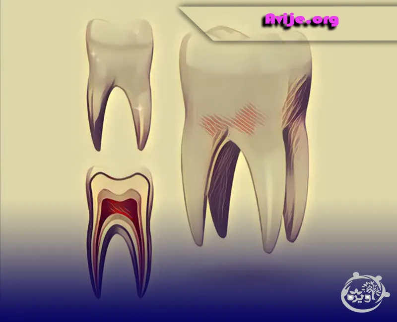 معافیت پزشکی دندان مصنوعی