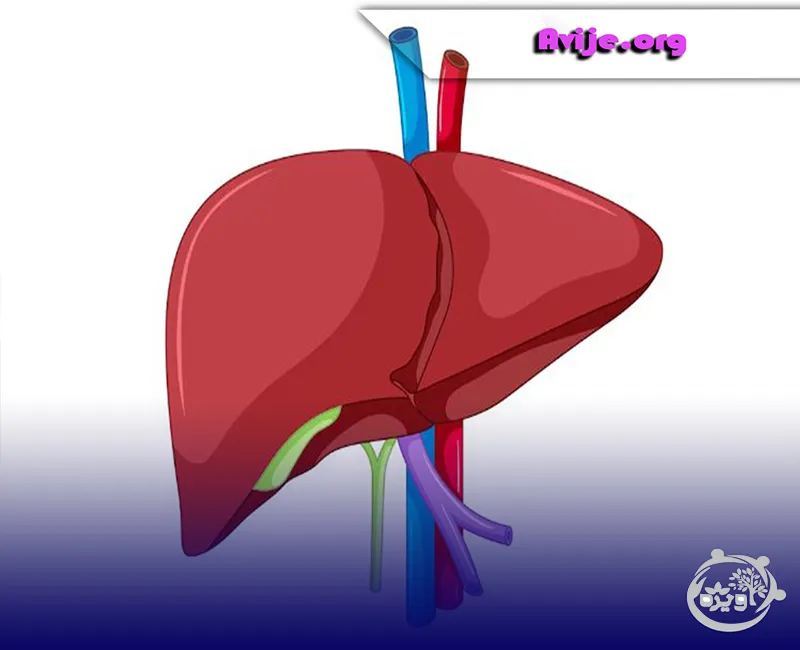 همانژیوم کبدی و معافیت پزشکی