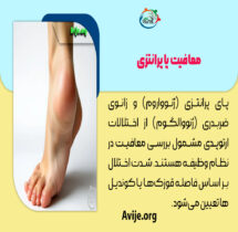 معافیت پای پرانتزی