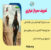 مجازات سرباز فراری