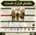 طرح بخشش فرار از خدمت