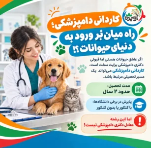 کاردانی دامپزشکی چیست